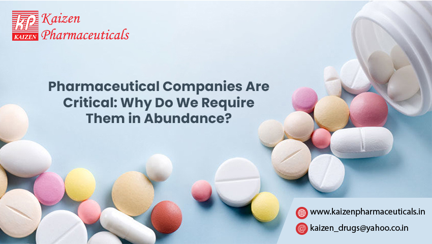 Pharmaceutical Manufacturing Companies Are Critical: Why Do We Require Them in Abundance?